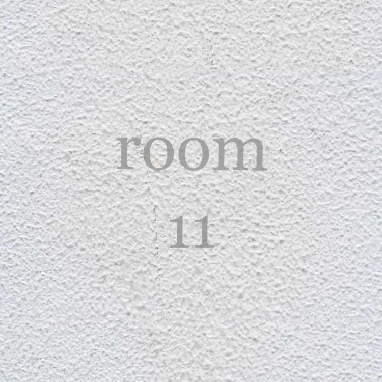room11