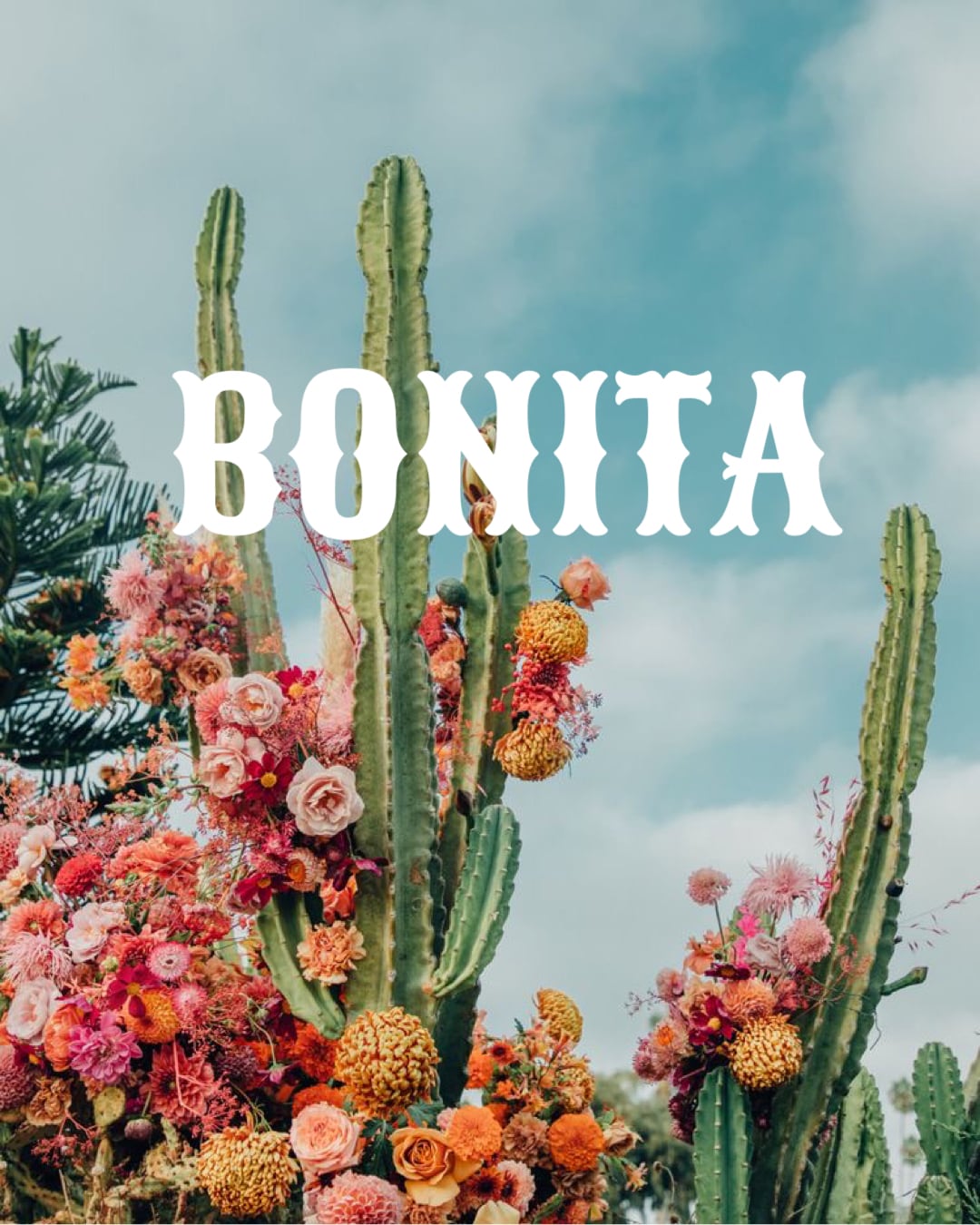 BONITA