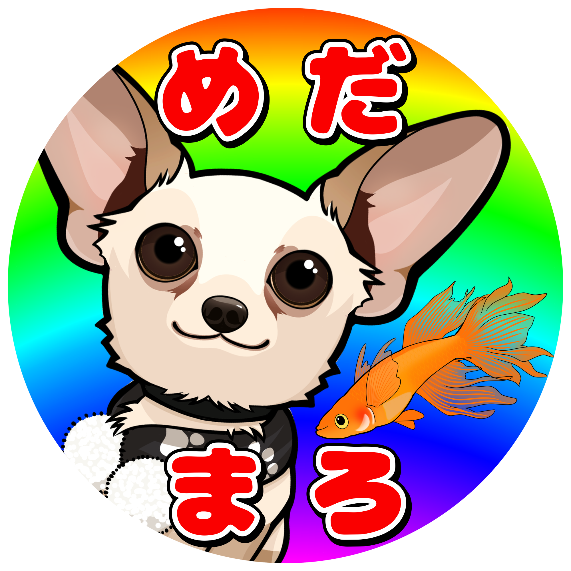 メダカ専門店めだまろ