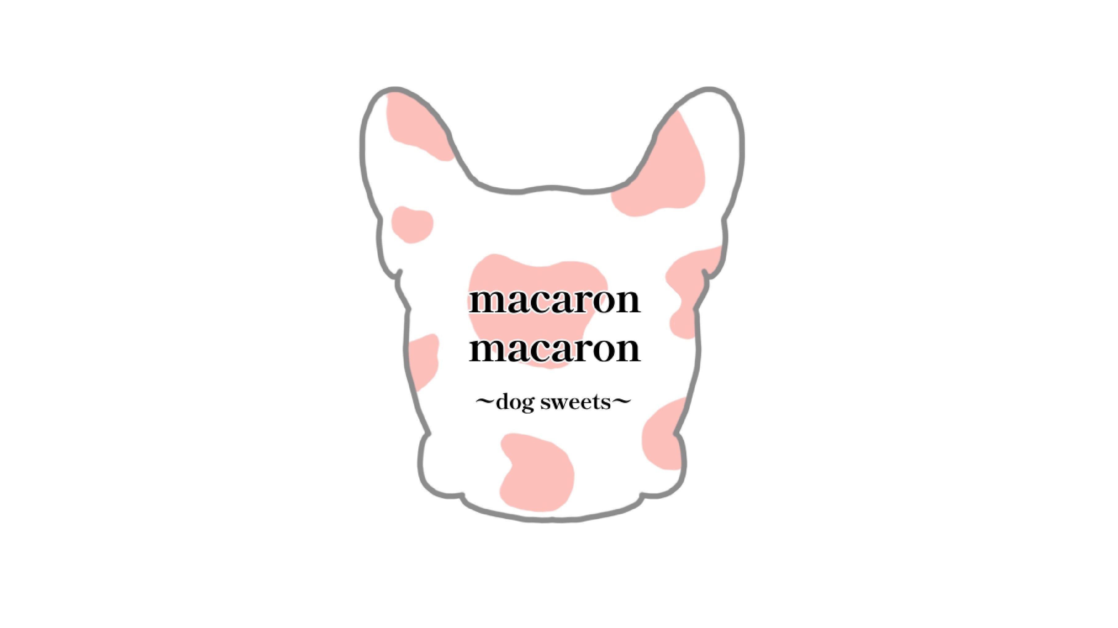 犬用ケーキ犬用アイシングクッキー販売店　macaron  macaron 