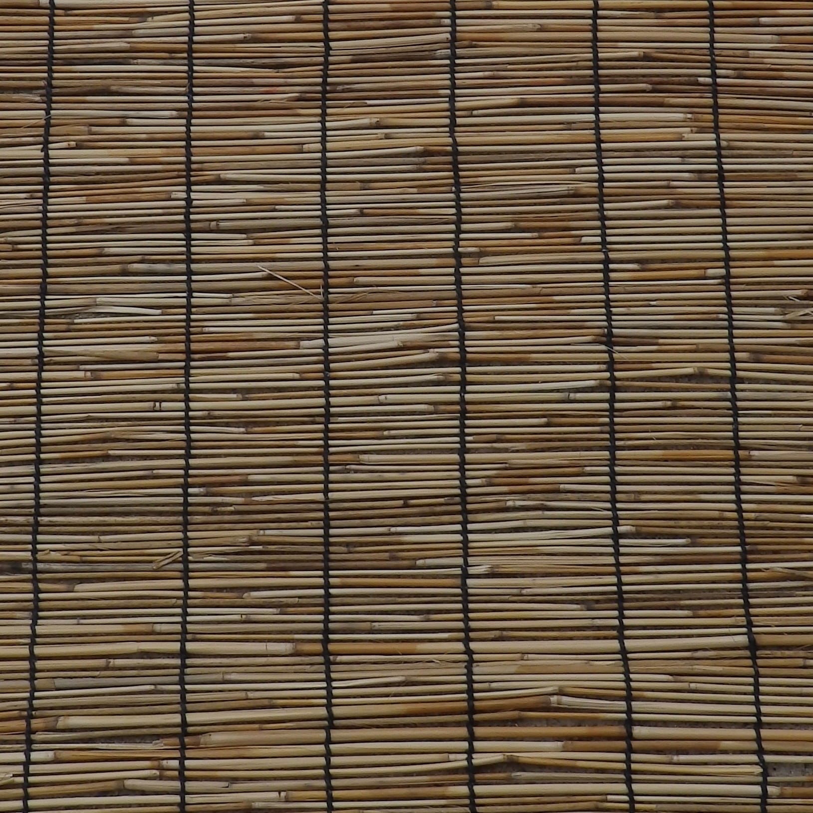 寺古屋