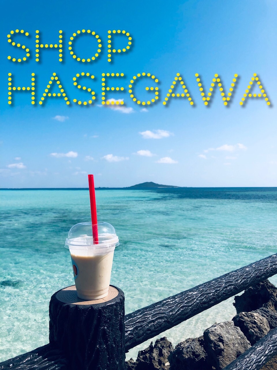 SHOP HASEGAWA