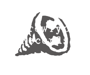 ScrewType Records