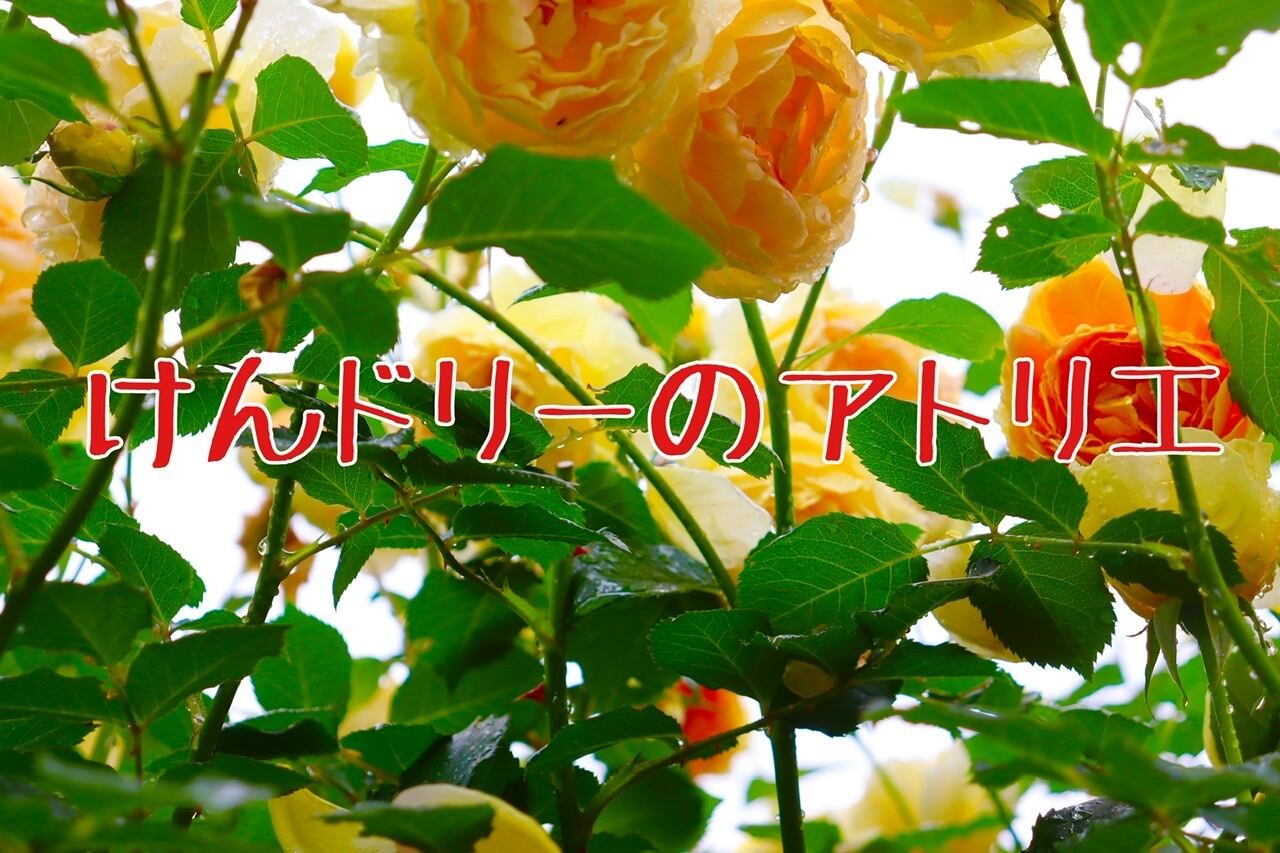 けんドリーのアトリエ