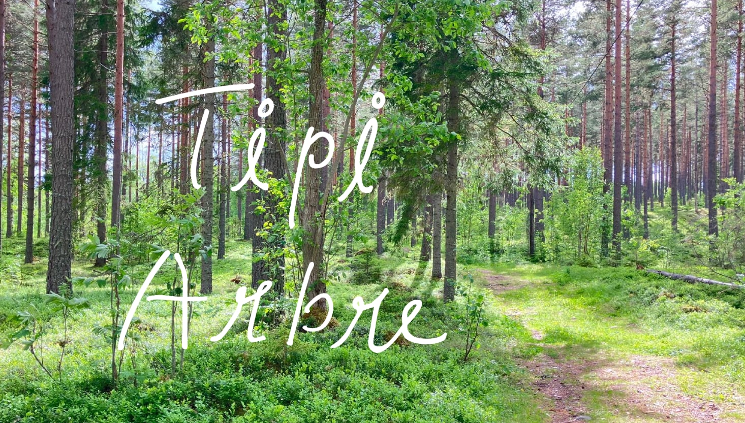 Tipi Arbre