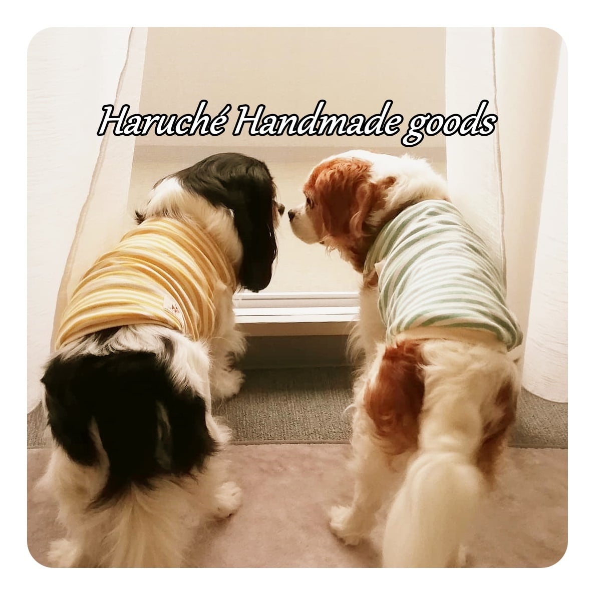 完成品】❁犬のお散歩用❁ マナーポーチ 小型 / 中型犬用 【ポップ 