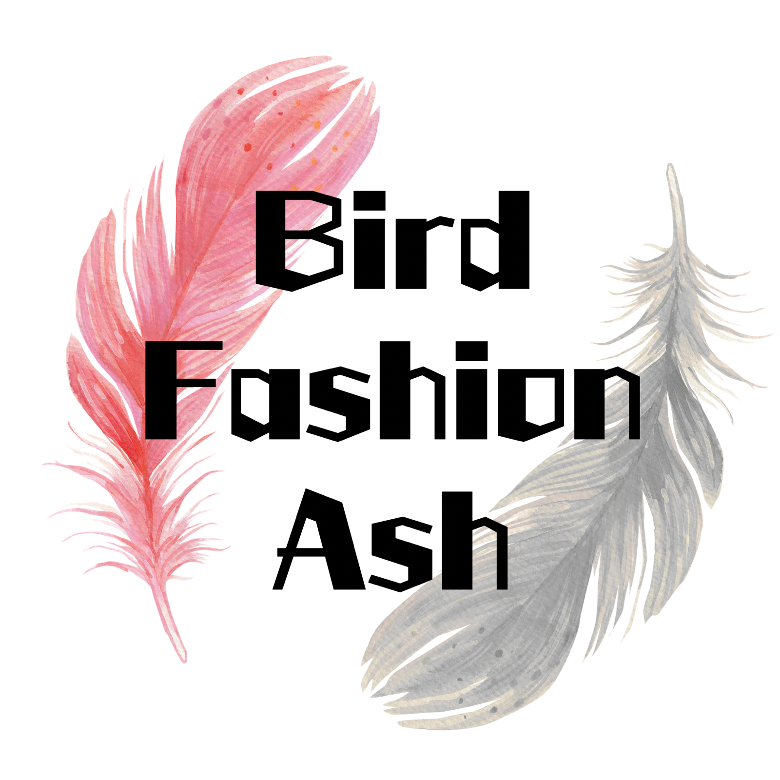 Bird Fashion Ash