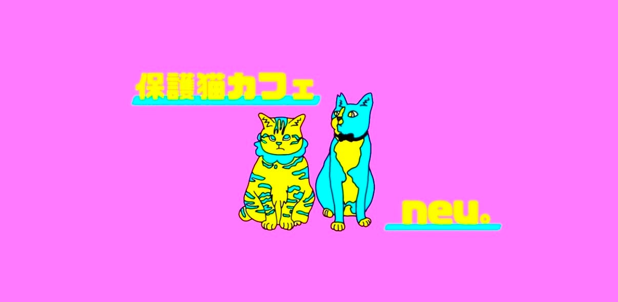 保護猫カフェneu。