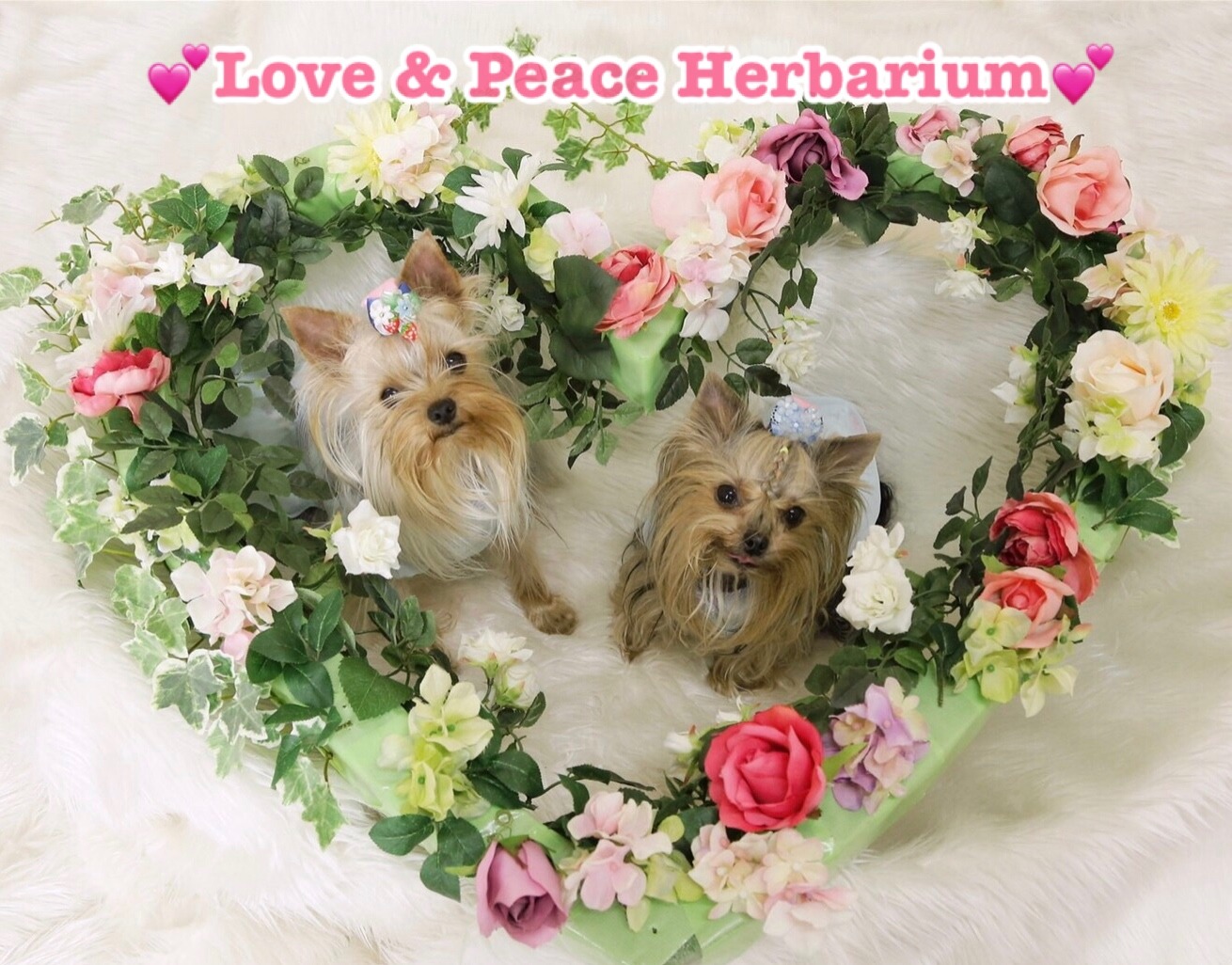 love.and.peace.herbarium〜らぶ&ぴいすハーバリウム〜