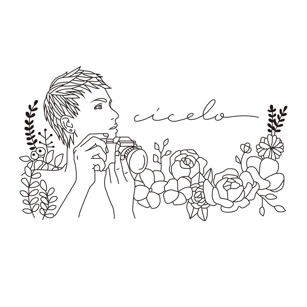 cicelo