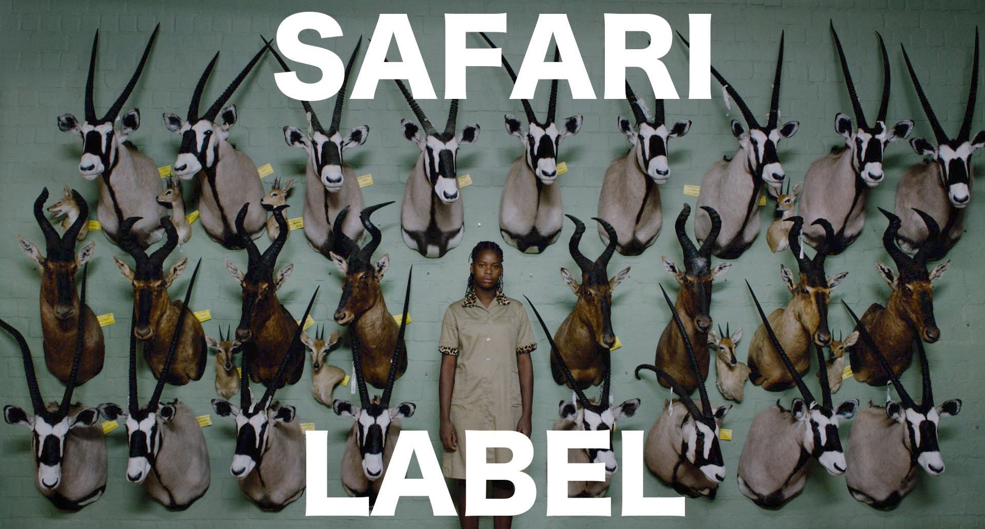 SAFARI LABEL