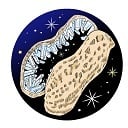 hapinesm】カイヤナイトシリカ＊約16.5mm＊ hapinesm】カイヤナイト