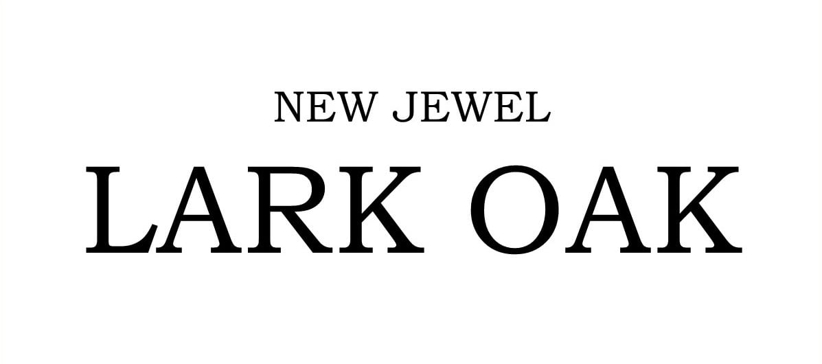 一粒ダイヤモンドネックレス専門店　LARK OAK