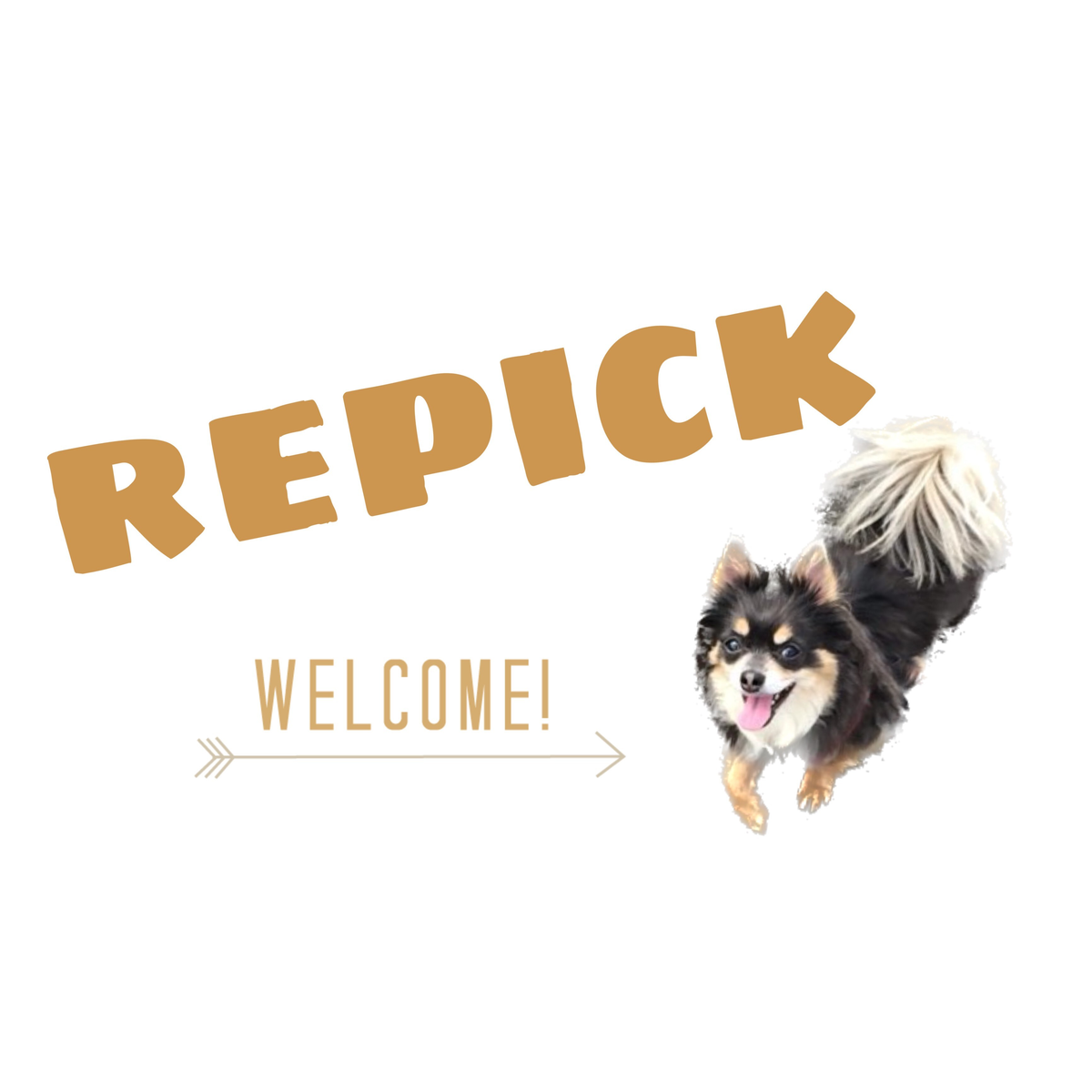 Repick 帽子 | Repick
