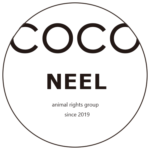 COCO NEEL チャリティーショップ