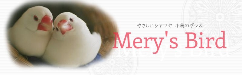 Mery's Bird