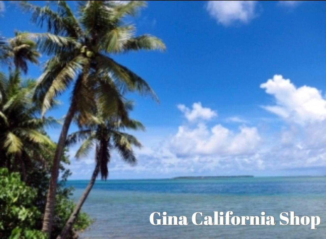 Gina.Shop.california