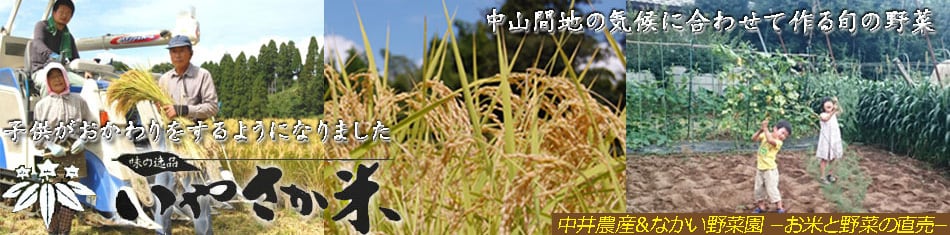 中井農産&なかい野菜園