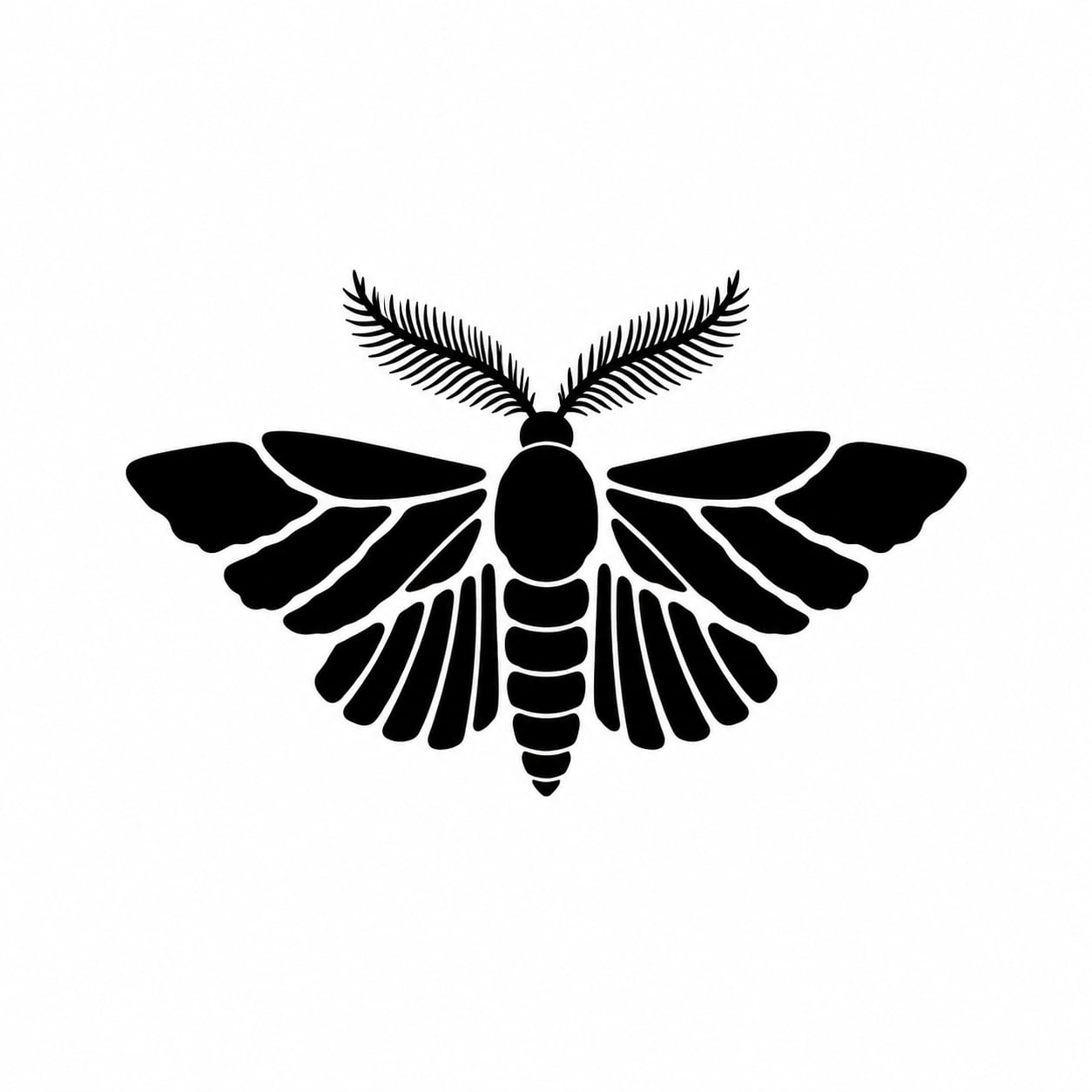 NOVA OBJECT