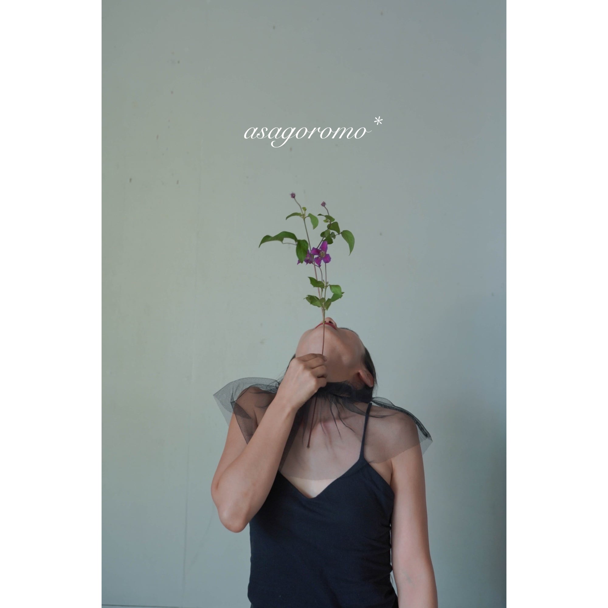 asagoromo*
