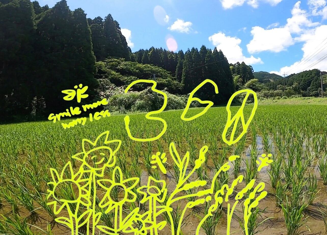360