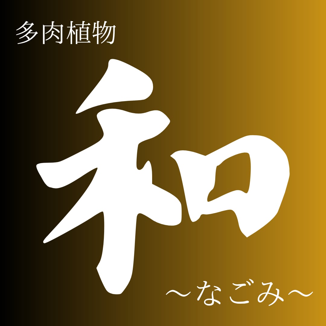 nagomi1108