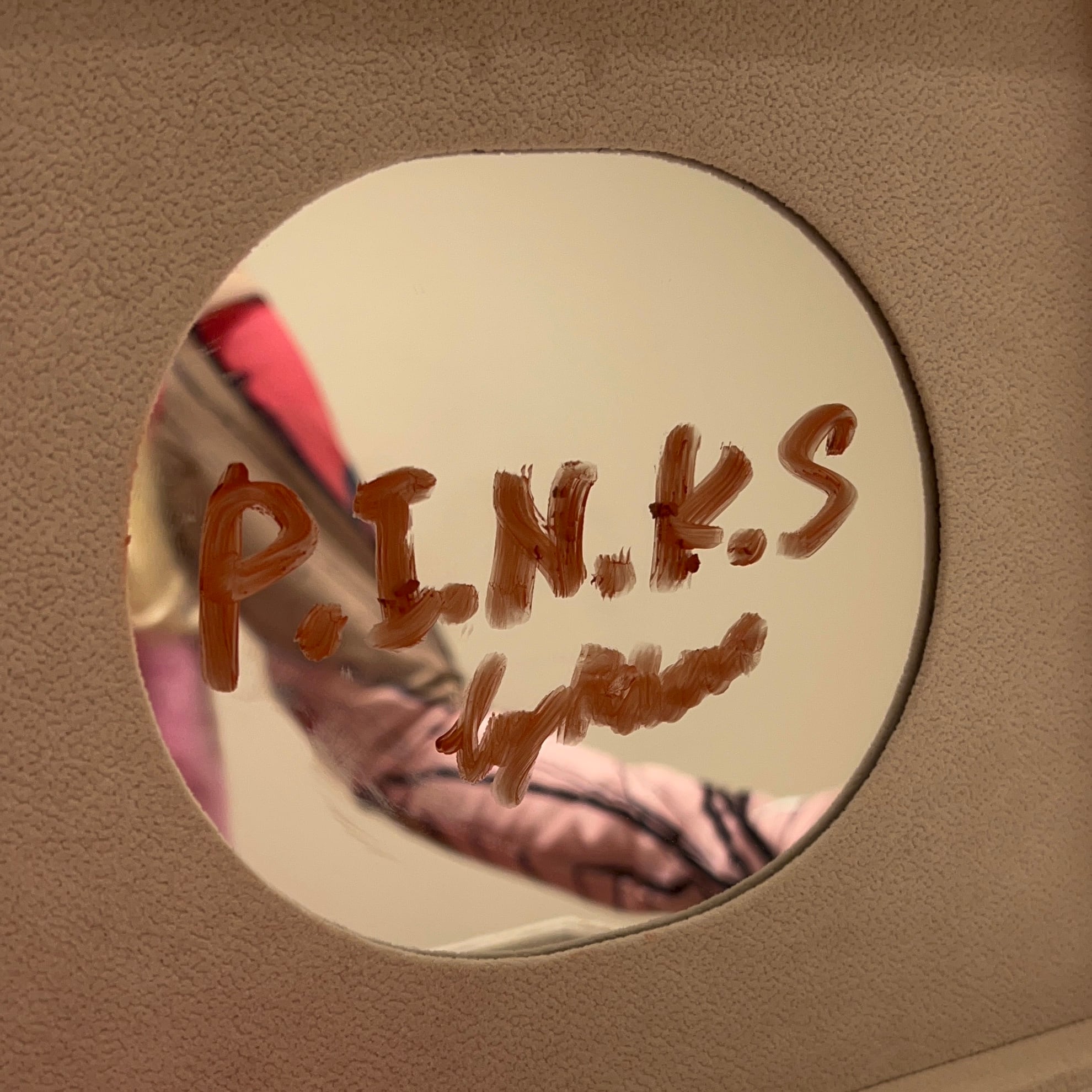 P.I.N.K.S