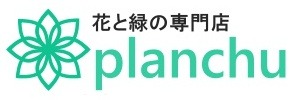 プランチュ｜観葉植物・エアープランツ・食虫植物・インテリア雑貨のお店