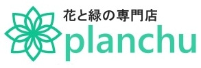 プランチュ｜観葉植物・エアープランツ・食虫植物・インテリア雑貨のお店