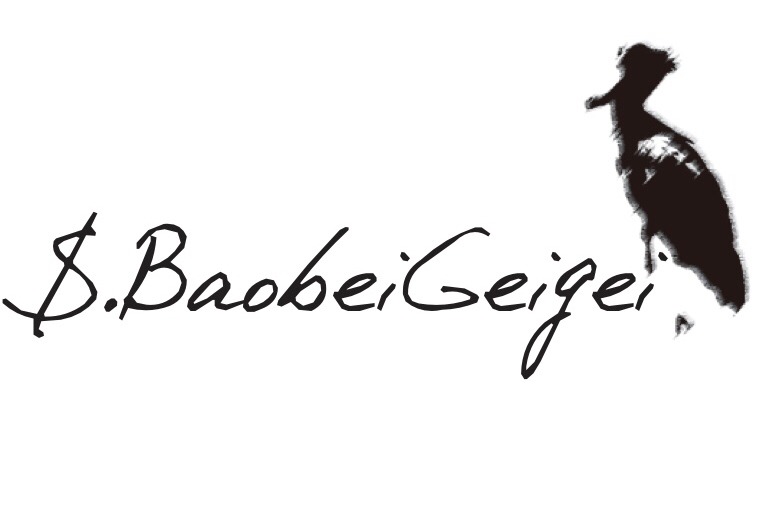baobeigege