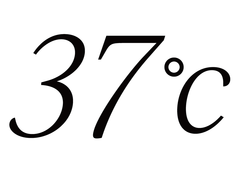 37℃