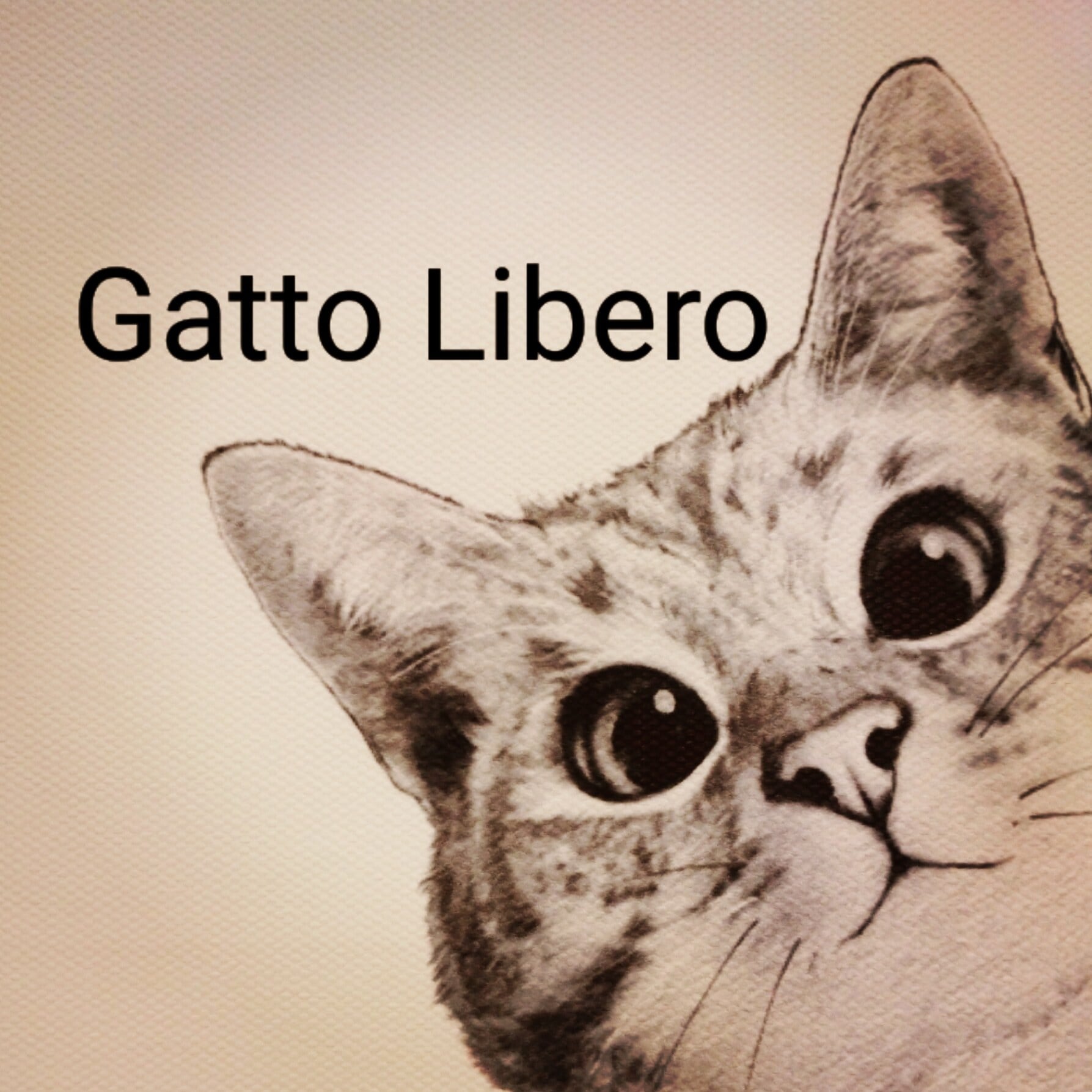 Gatto Libero