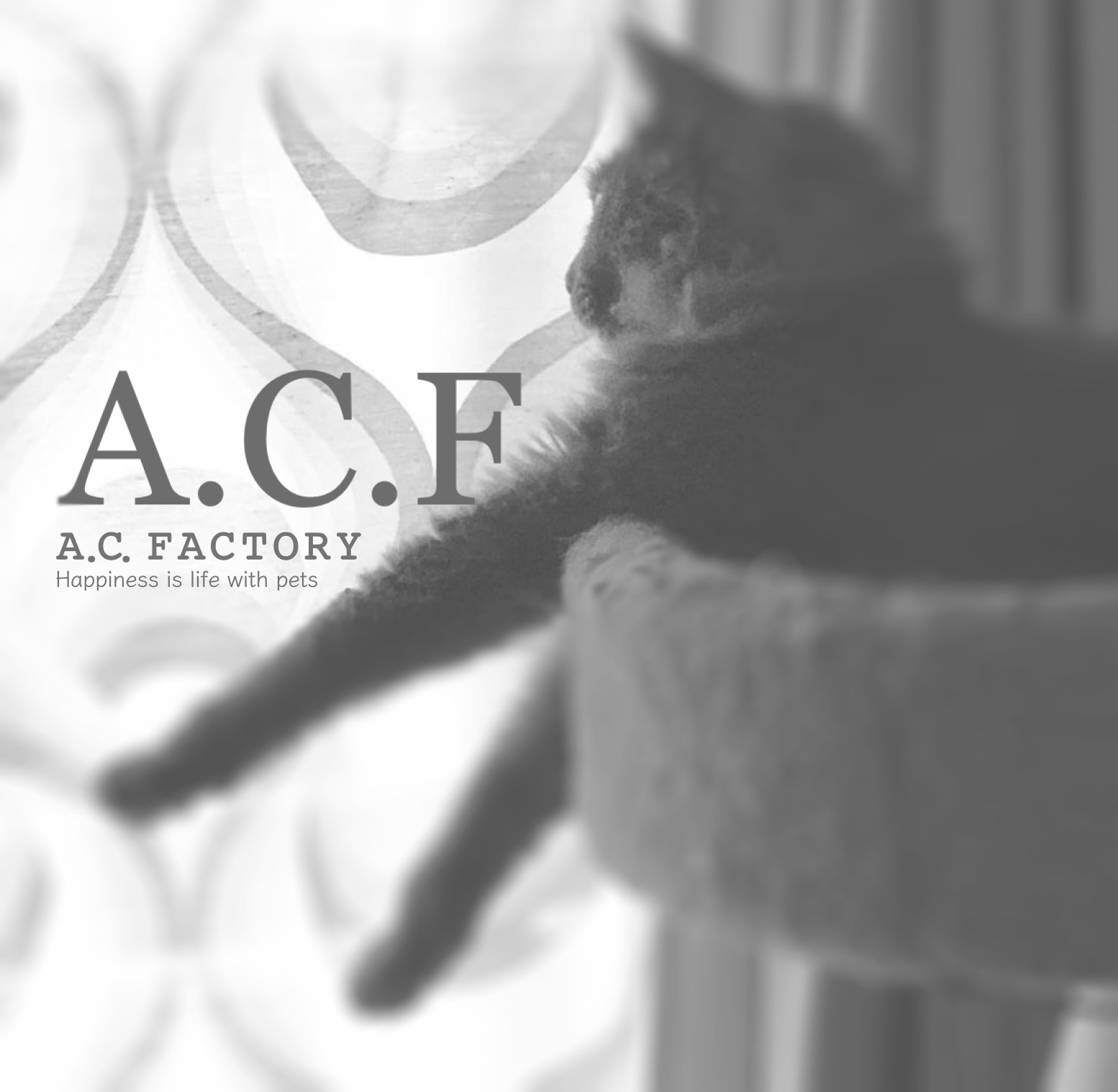 A.C. FACTORY