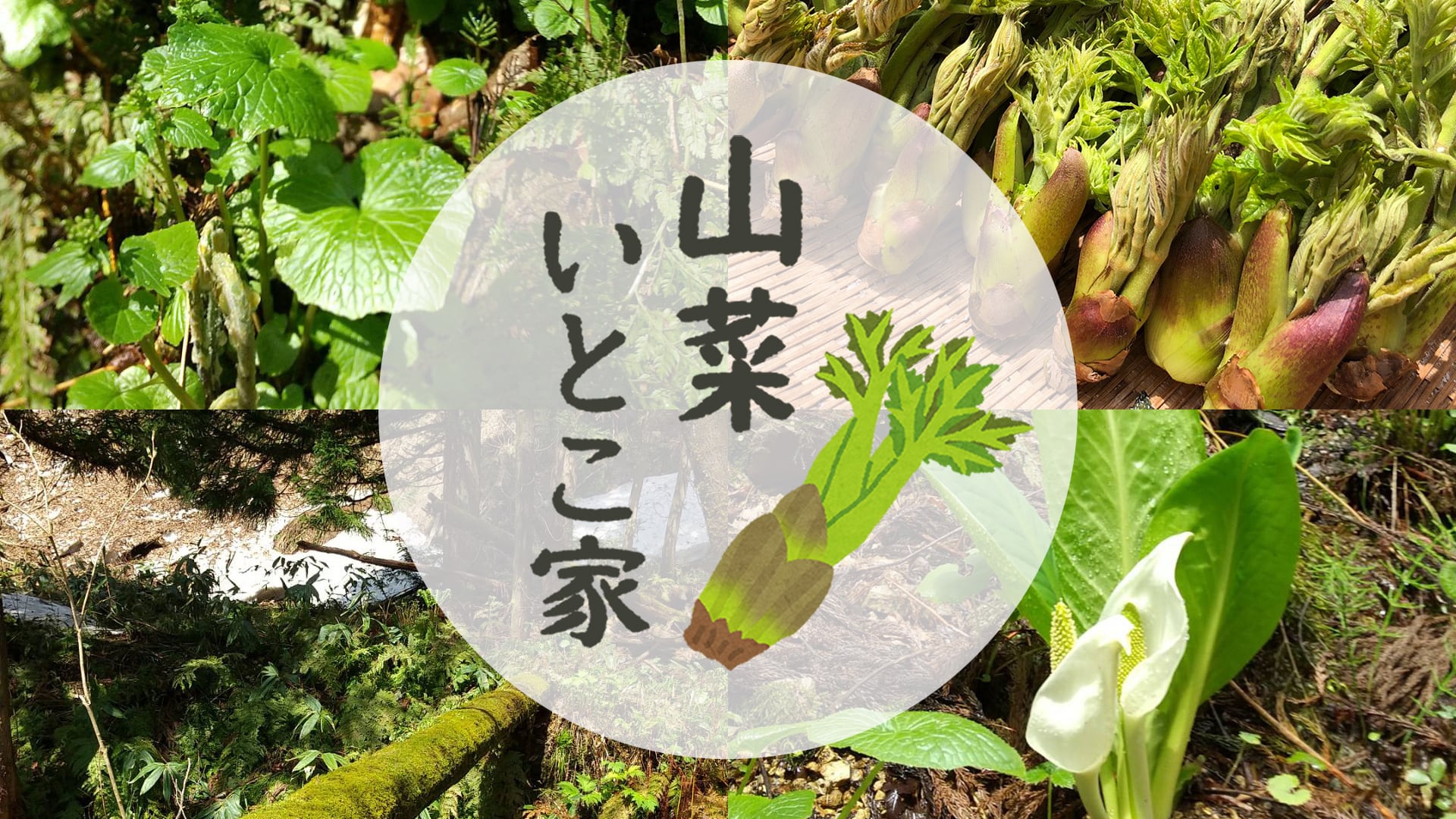 山菜 いとこ家