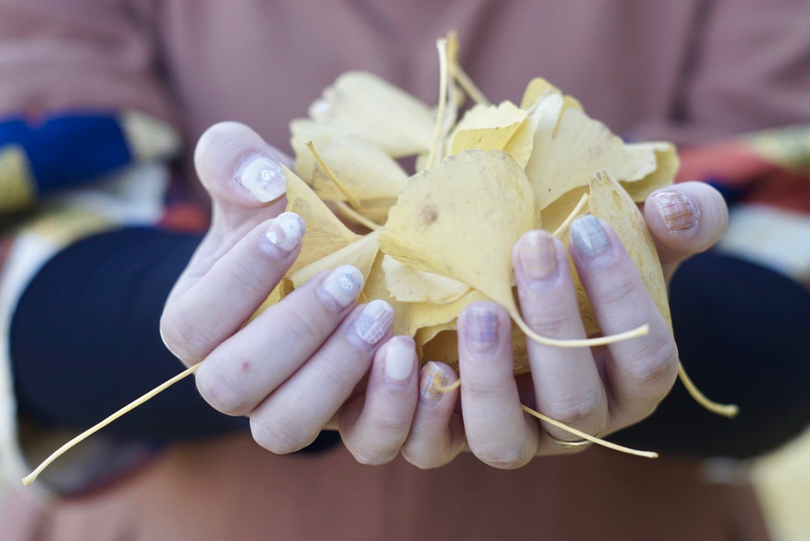 個性を纏うコドモフク