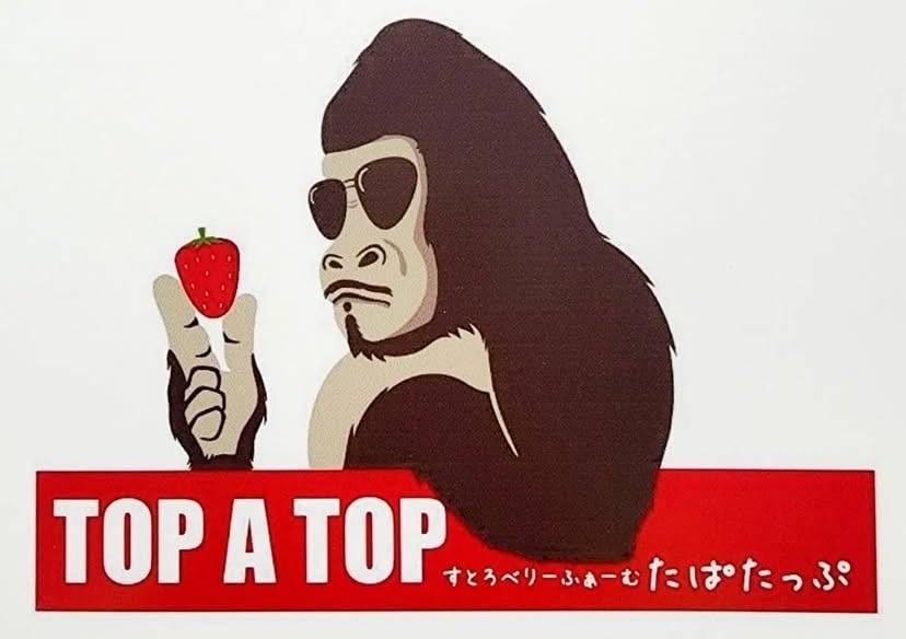 topatop25
