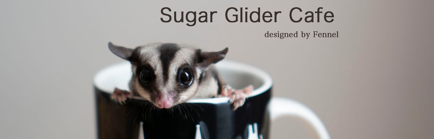 Sugar Glider Cafe designed by Fennel