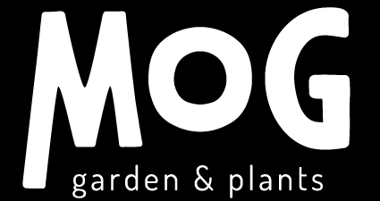 MOG online shop