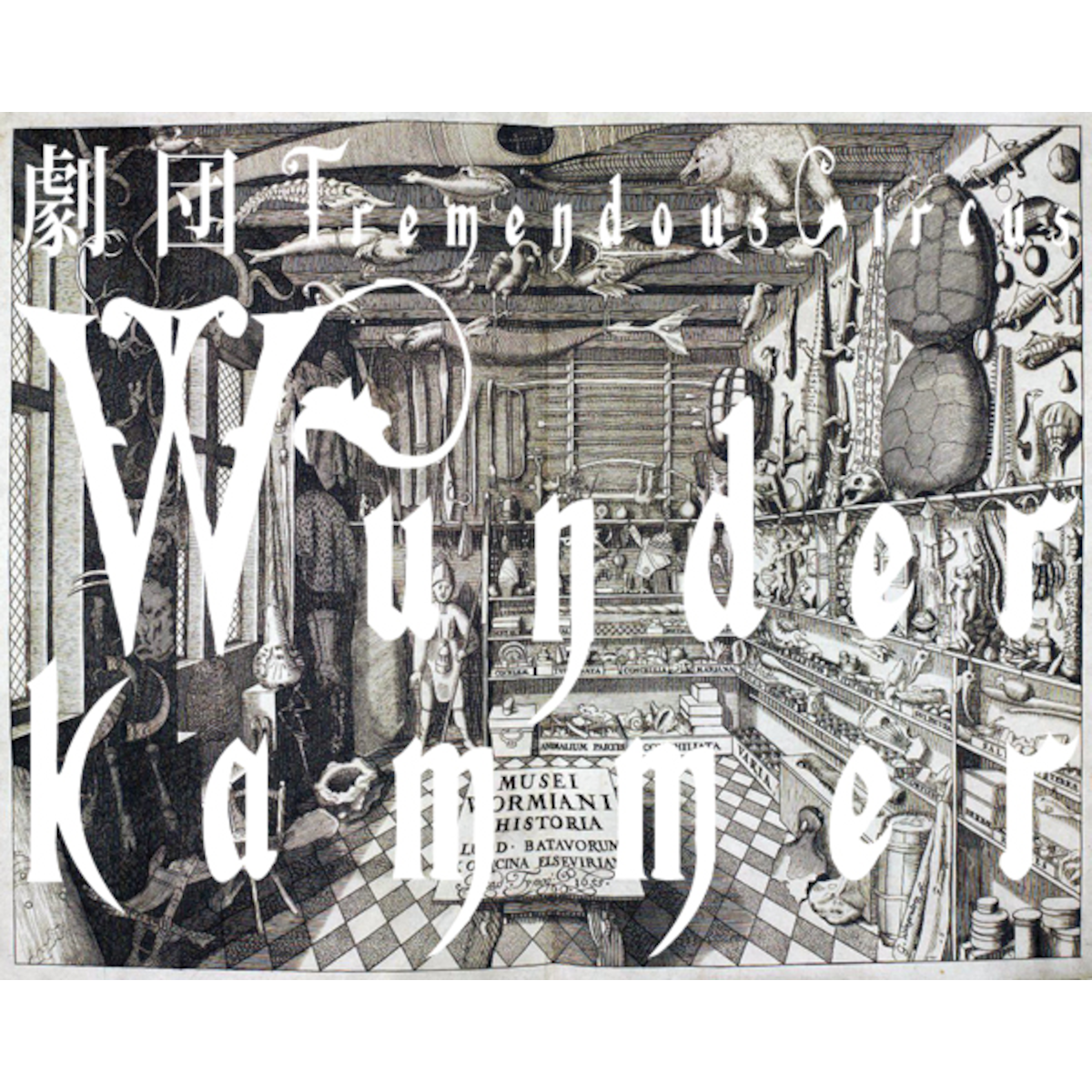 Wunderkammer Tremendouscircus Wunderkammer Tremendouscircus