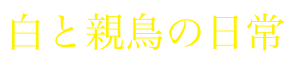 白ちびランド