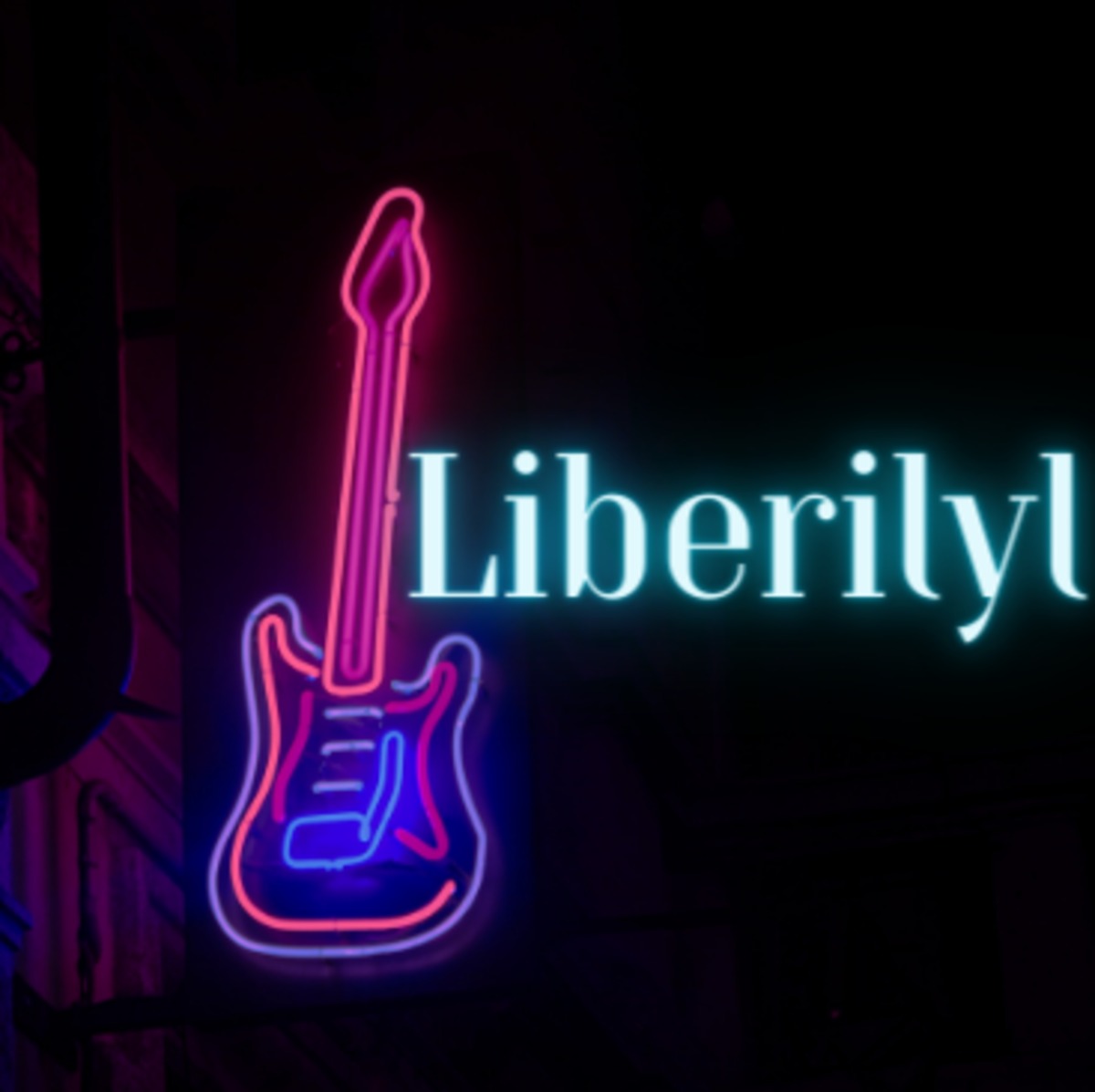 中古アコースティックギター (弦高調整済) | LiberilylMusic
