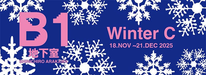 SHINICHIRO ARAKAWA B1 地下室