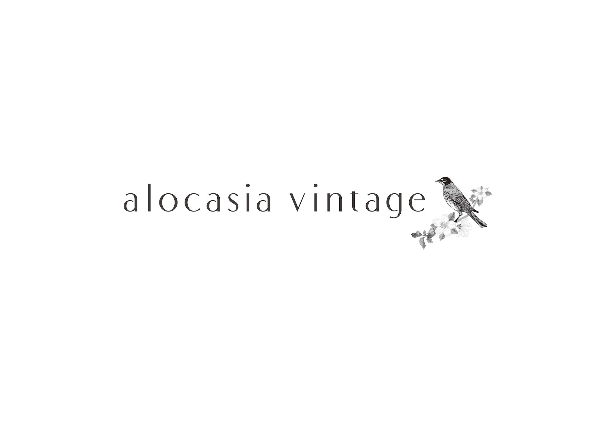 alocasia vintage