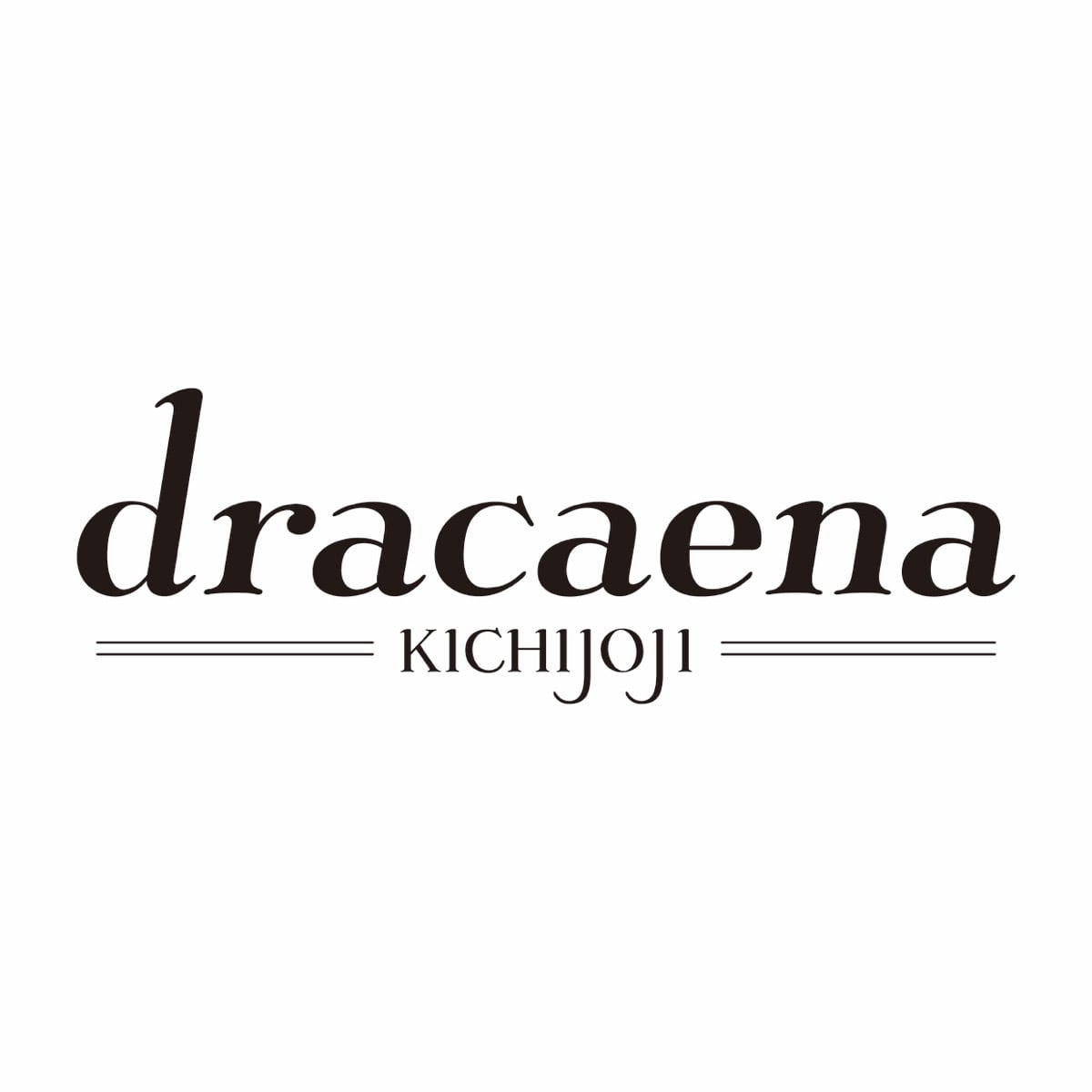 dracaena north