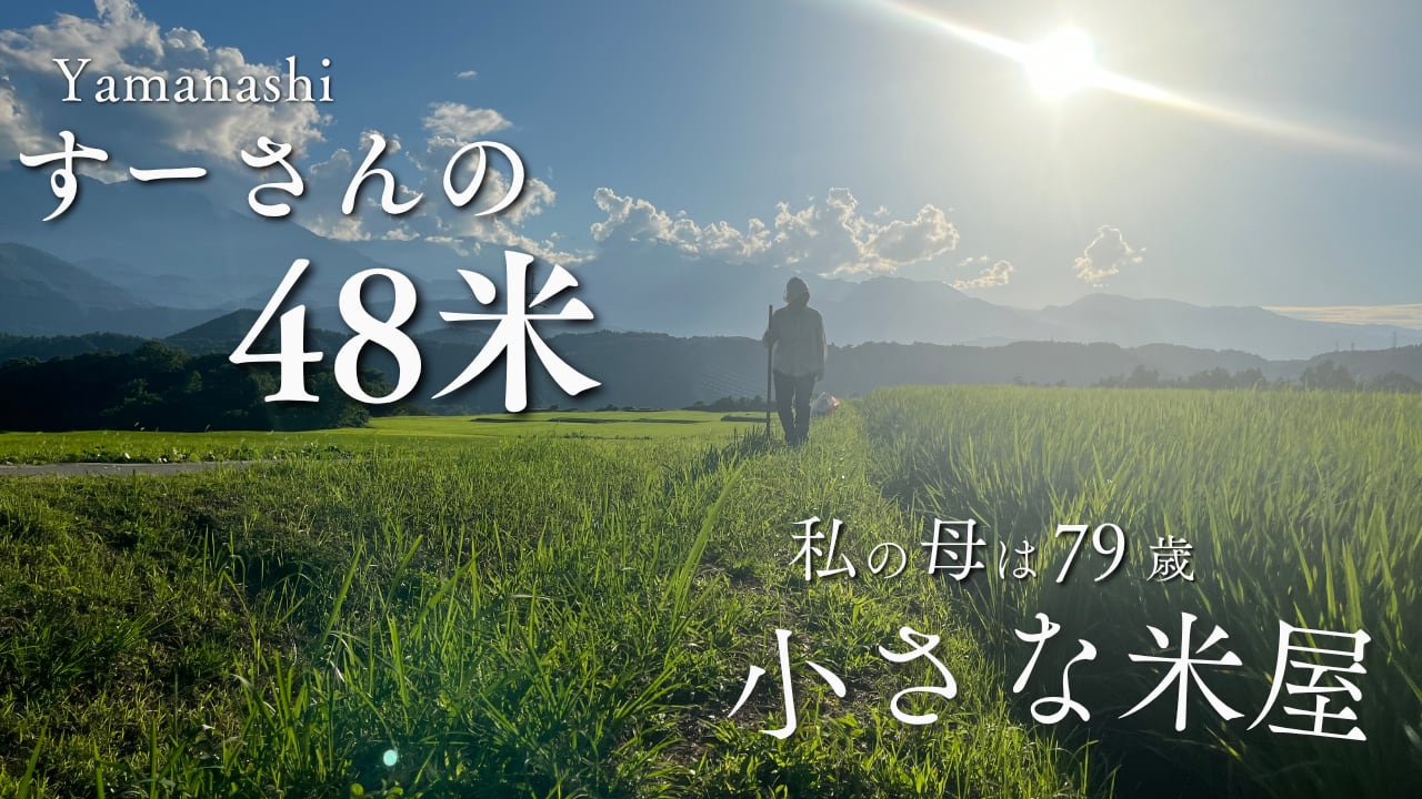 すーさんの48米