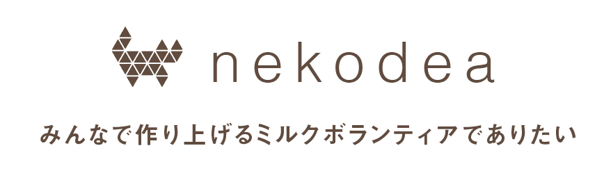 nekodea宿と猫