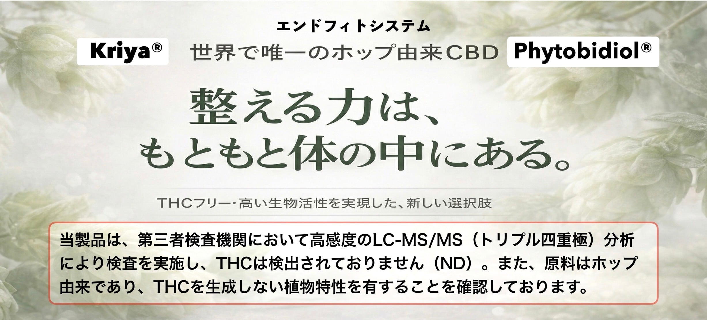 ホップCBD PHYTO  Shop