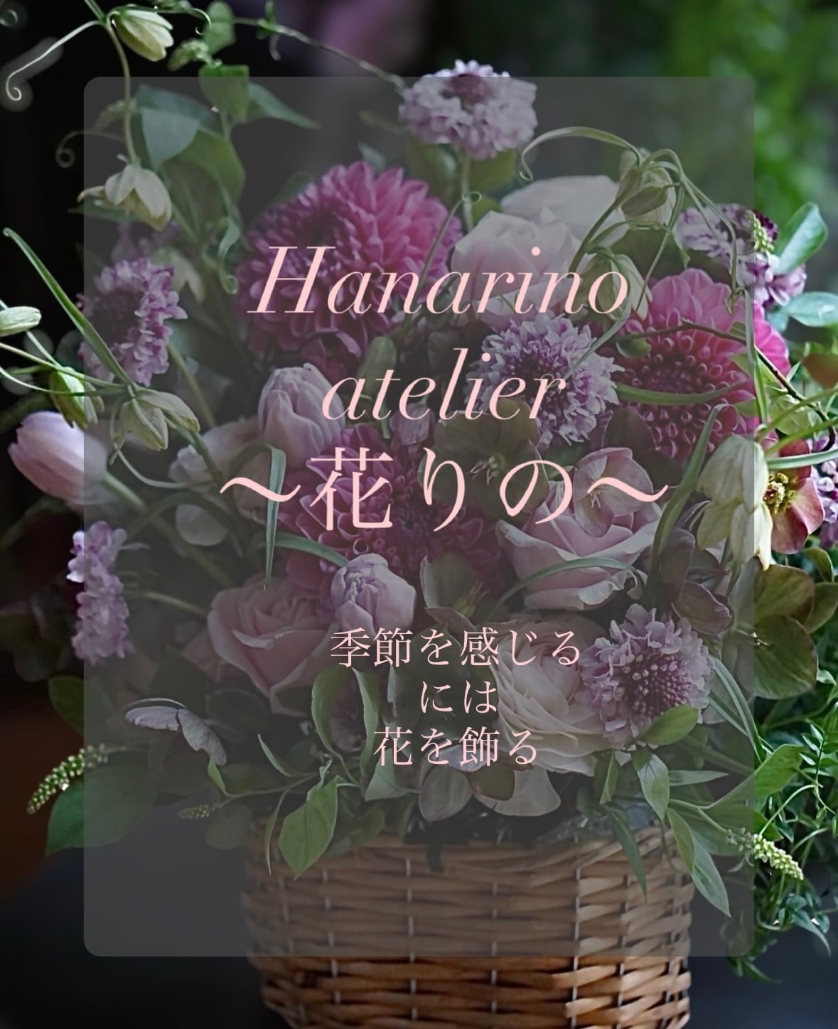 花rino