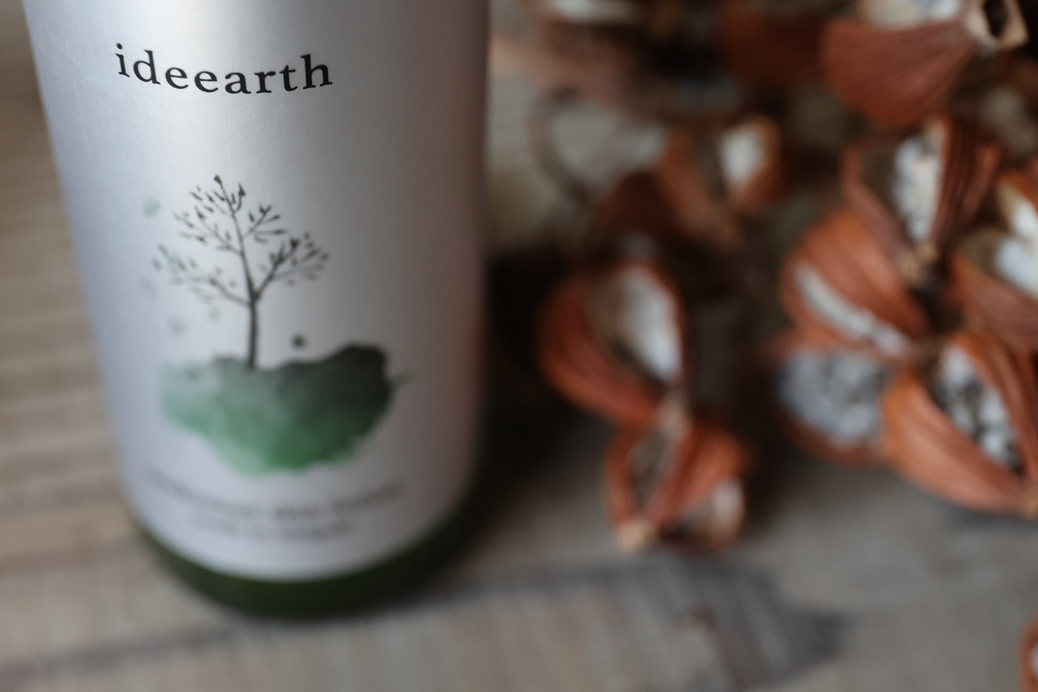 ideearth