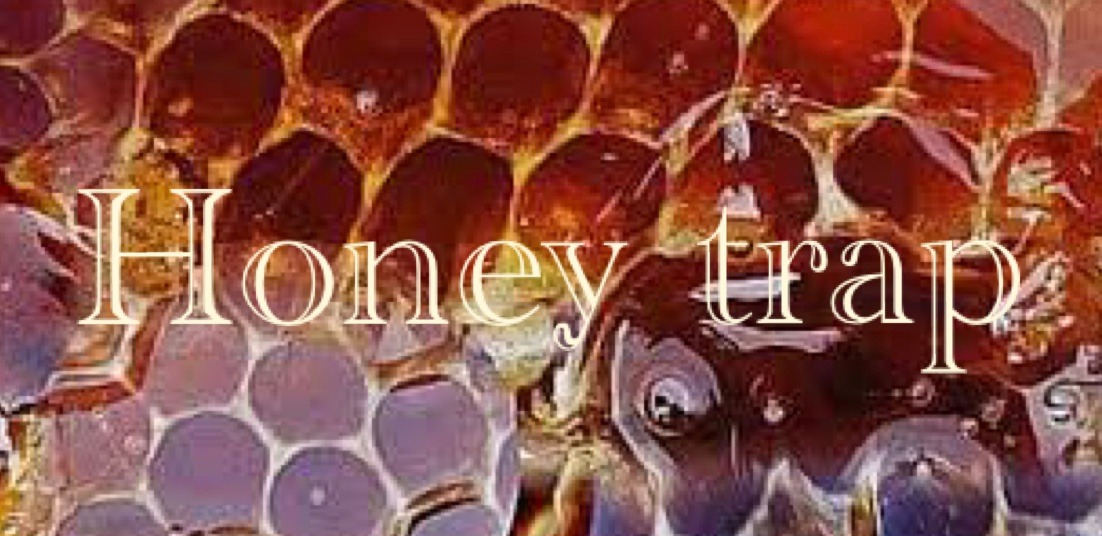 Honey TRAP